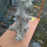 IMG_20200113_162334_01